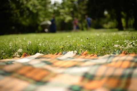 Children playing outside at a picnic