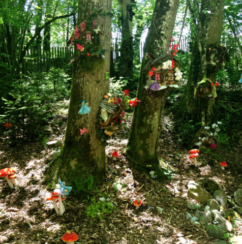 outdoor fairy forest