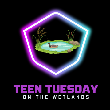 black background with a neon shape at the center, inside the shape is a small pond with a duck. at the bottom in big purple lettering it reads "Teen Tuesday" under that it says "on the wetlands"