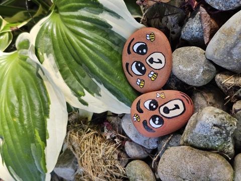 Rocks painted like brown bears with rocks and a green plant in the background