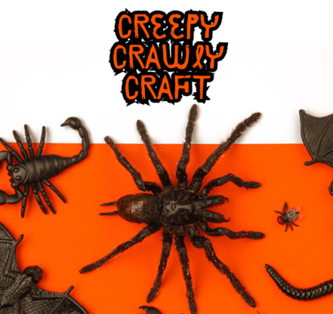 half white, half orange background with creepy bugs on the bottom, and the words "creepy crawly craft" at the top.