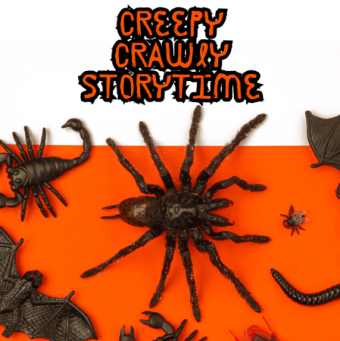 half white, half orange background with creepy bugs on the bottom, and the words "creepy crawly storytime" at the top.