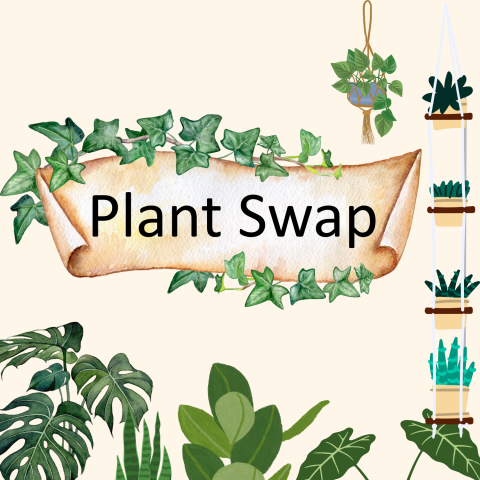Plant swap