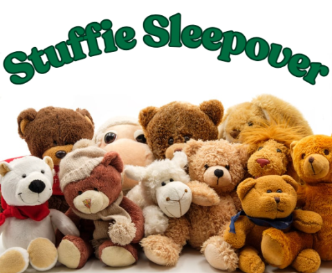 a plethora of stuffed animals all huddled together at the bottom with the words "stuffie sleepover" along the top in green