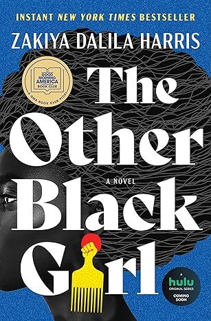 Blue background with african american woman's face and hair with the title the other black girl