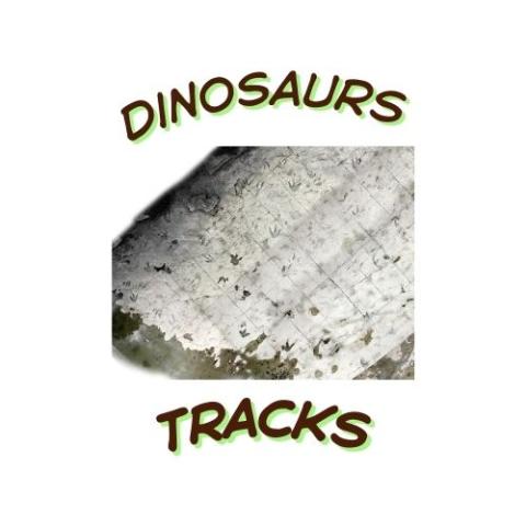 Dinosaur Tracks Provided Presenter