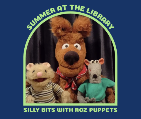 A navy blue background with the word "Summer At the library" at the top then there is a open frame with a photo of 3 puppets, beneath it says "silly bits with roz puppets"