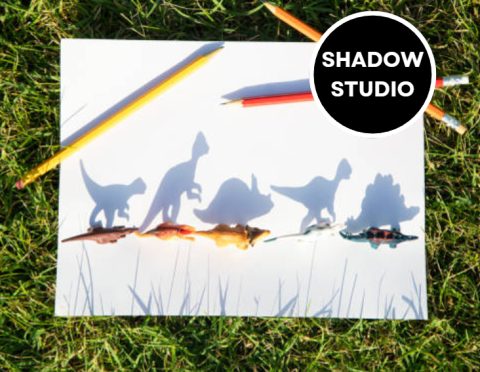 a piece of paper in the grass with a line of dinosaurs and their shadows, with the pencils laying on top of the page. the words "shadow studio" are in a circle at the top right corner