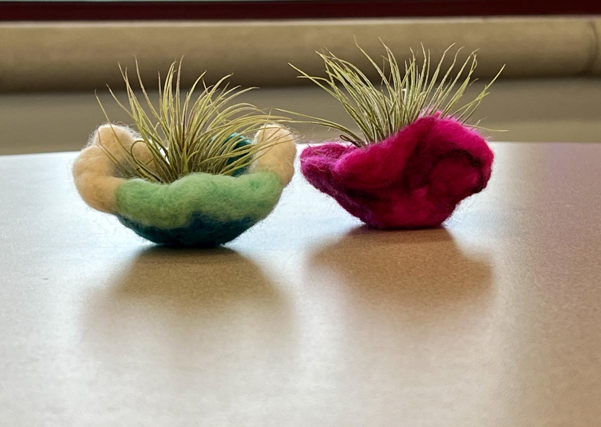 air plants in needle felted planters