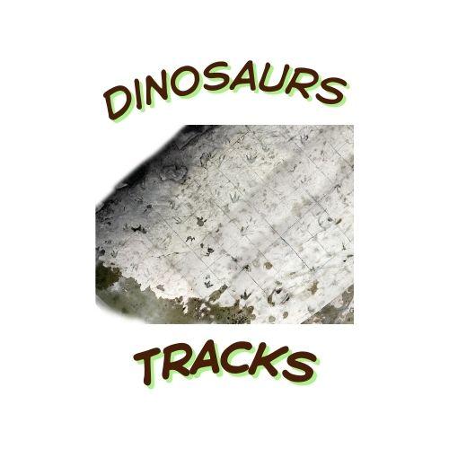 Dinosaur Tracks Provided Presenter