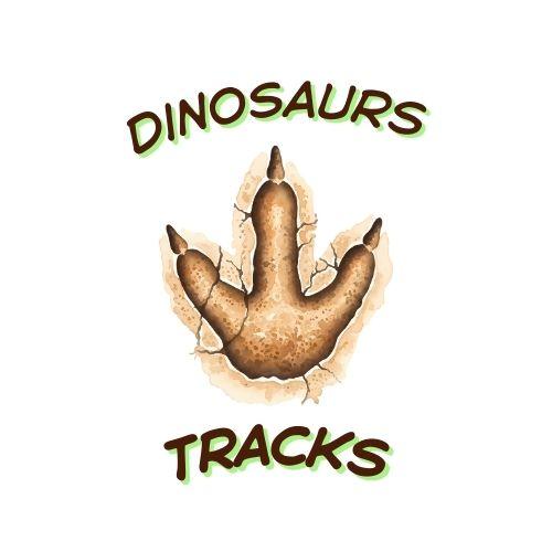 Dinosaur Tracks